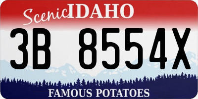 ID license plate 3B8554X