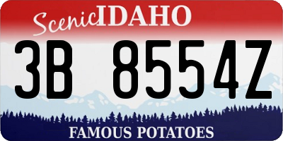 ID license plate 3B8554Z