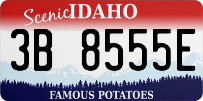 ID license plate 3B8555E