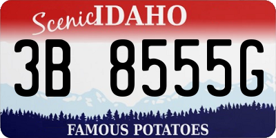 ID license plate 3B8555G