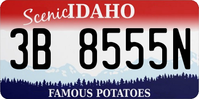 ID license plate 3B8555N