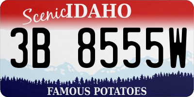ID license plate 3B8555W
