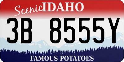 ID license plate 3B8555Y