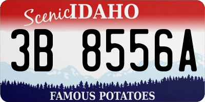 ID license plate 3B8556A
