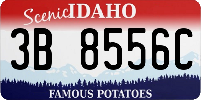 ID license plate 3B8556C