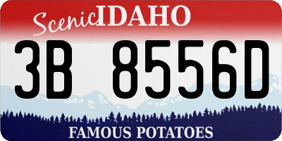 ID license plate 3B8556D