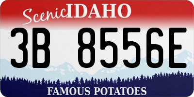 ID license plate 3B8556E