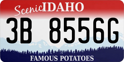 ID license plate 3B8556G