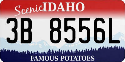 ID license plate 3B8556L