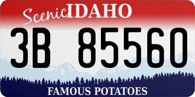 ID license plate 3B8556O