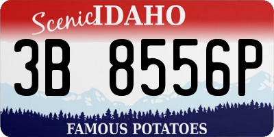ID license plate 3B8556P