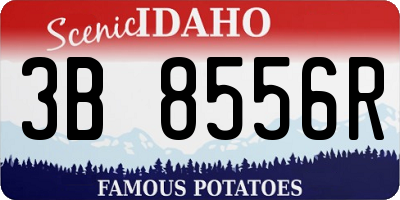 ID license plate 3B8556R