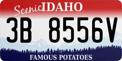ID license plate 3B8556V