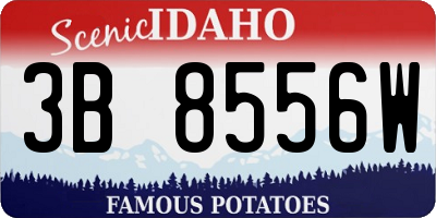 ID license plate 3B8556W