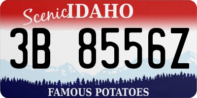ID license plate 3B8556Z
