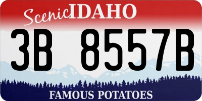 ID license plate 3B8557B