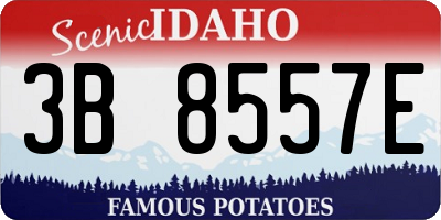 ID license plate 3B8557E