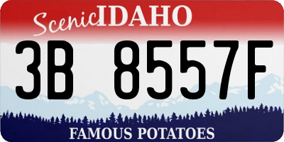 ID license plate 3B8557F