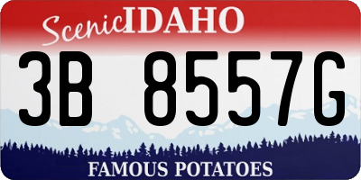 ID license plate 3B8557G