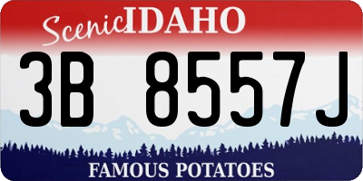ID license plate 3B8557J