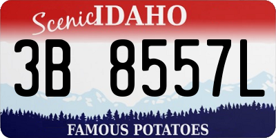 ID license plate 3B8557L