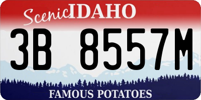 ID license plate 3B8557M
