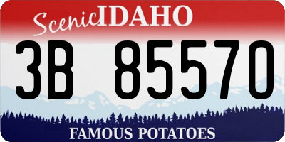 ID license plate 3B8557O