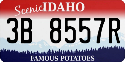 ID license plate 3B8557R