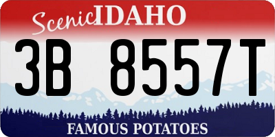 ID license plate 3B8557T