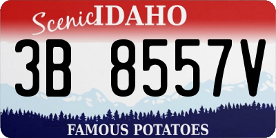 ID license plate 3B8557V