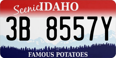 ID license plate 3B8557Y