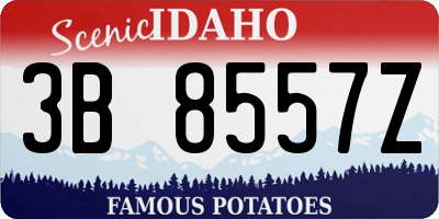 ID license plate 3B8557Z