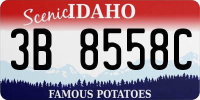 ID license plate 3B8558C