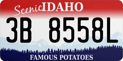 ID license plate 3B8558L