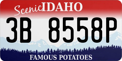 ID license plate 3B8558P