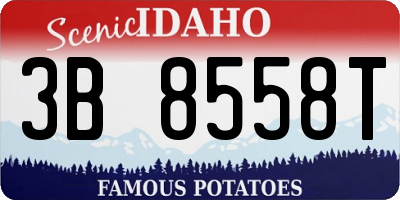 ID license plate 3B8558T