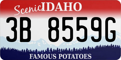 ID license plate 3B8559G