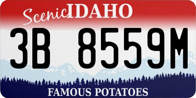 ID license plate 3B8559M