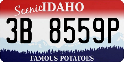 ID license plate 3B8559P
