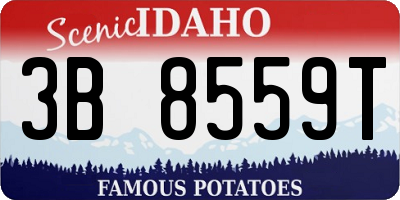 ID license plate 3B8559T
