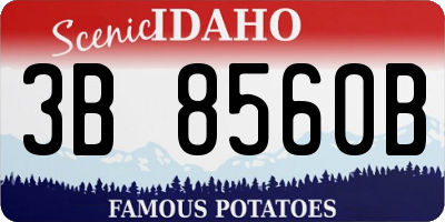ID license plate 3B8560B