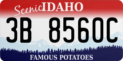 ID license plate 3B8560C
