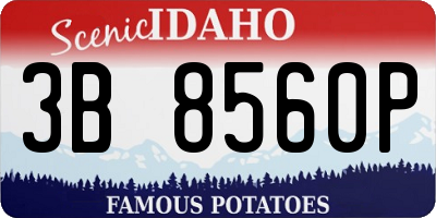 ID license plate 3B8560P