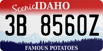 ID license plate 3B8560Z