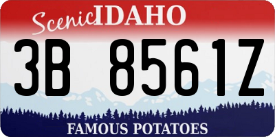 ID license plate 3B8561Z