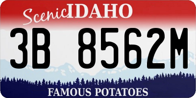 ID license plate 3B8562M