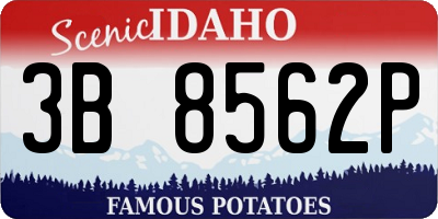 ID license plate 3B8562P