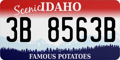 ID license plate 3B8563B
