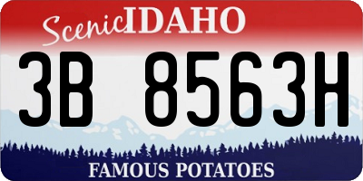ID license plate 3B8563H