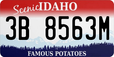 ID license plate 3B8563M